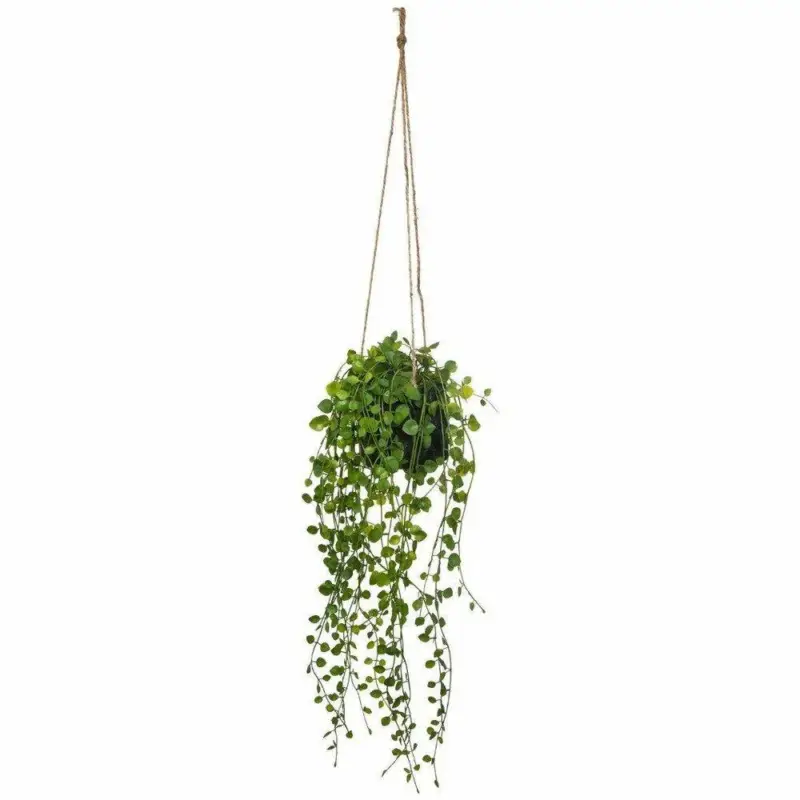 Nie przegap Sztuczny kwiat w doniczce Peperomia, wiszący, Ø 18 x 62 cm