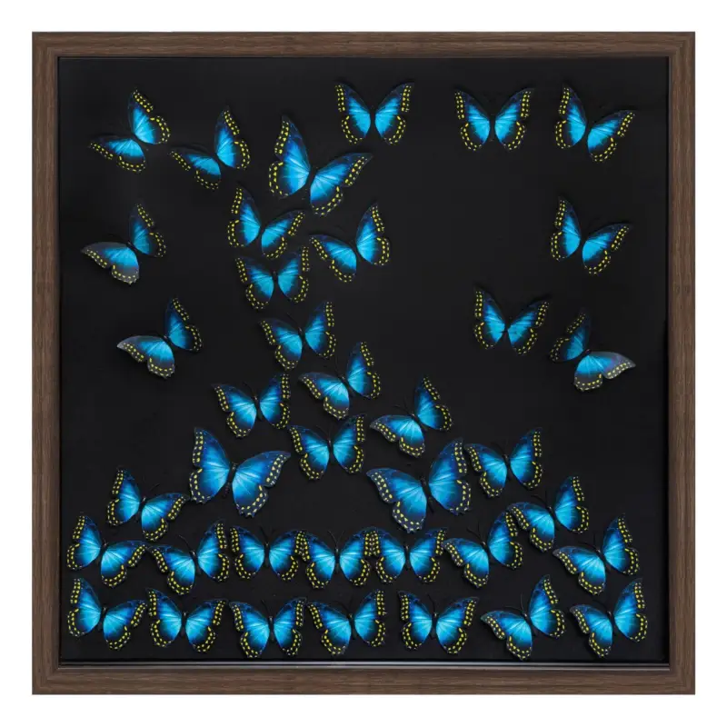 Ozdoba ścienna 3D z motylami, 55 x 55 cm Hit sprzedaży