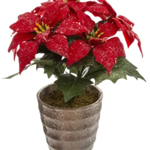OUTLET Gwiazda betlejemska z tworzywa sztucznego, 22 cm Ograniczona ilość