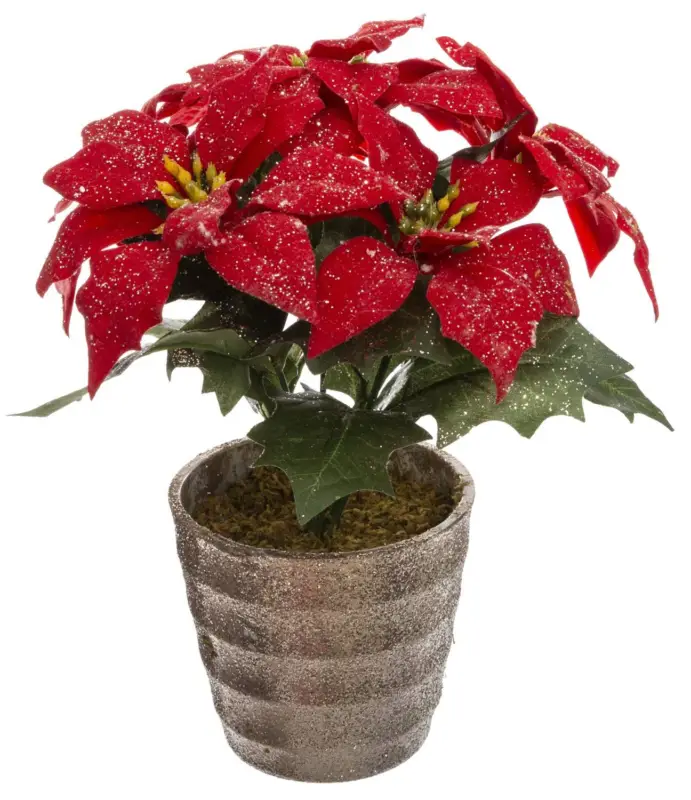 OUTLET Gwiazda betlejemska z tworzywa sztucznego, 22 cm Ograniczona ilość
