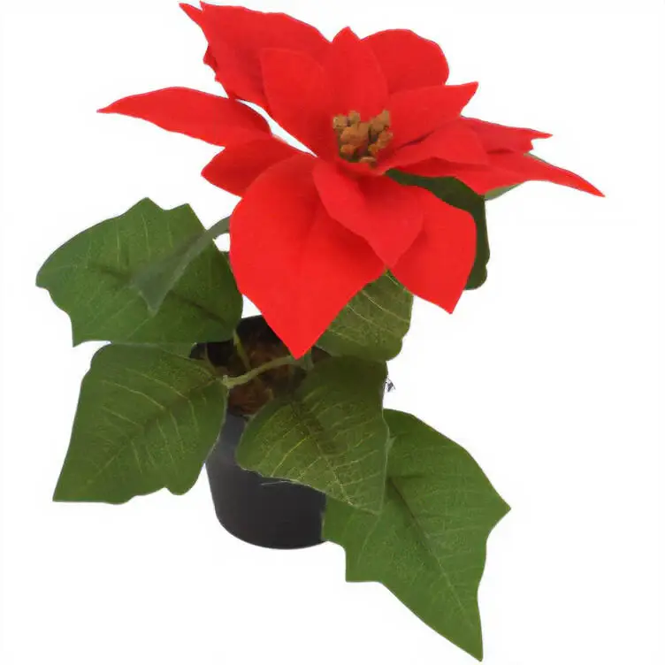 Oferta limitowana Gwiazda betlejemska, sztuczny kwiat, 19 cm