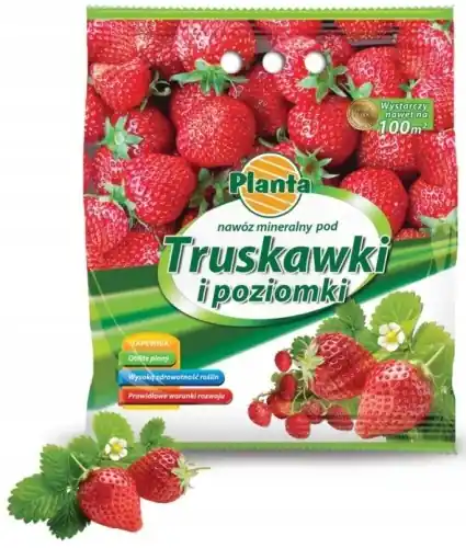 Nowy Nawóz pod truskawki i poziomki mineralny 3 kg