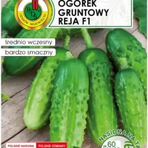 Łatwy zwrot Ogórek Reja F1 6m taśmy z nawozem Platnacote Średnio wczesna odmiana