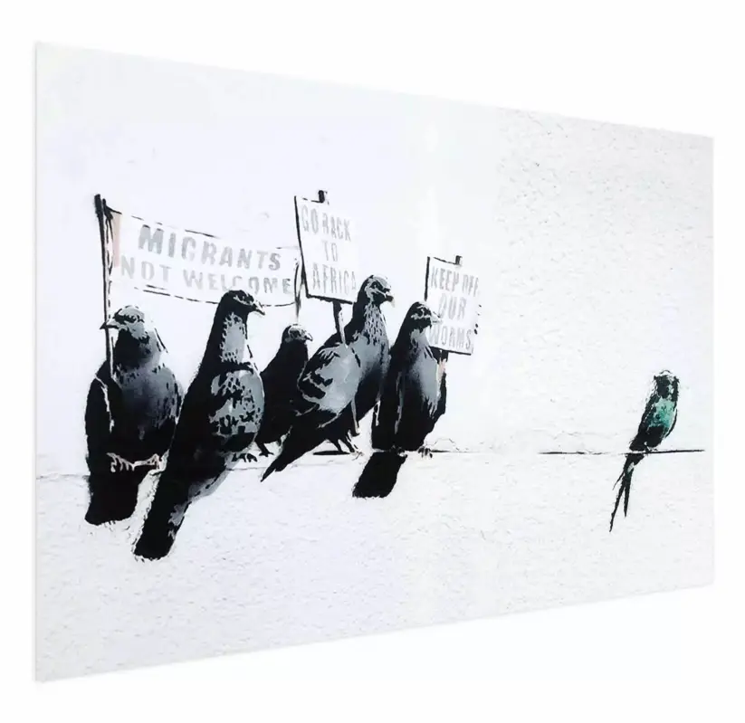 Plakat Gołębie 90x60 cm Najlepsza cena