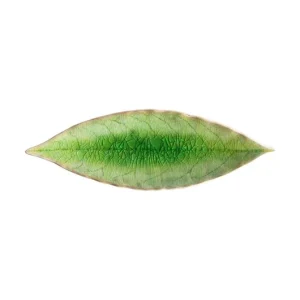 Costa Nova zestaw talerzy Riviera Laurel 18 cm 6-pack Kup online