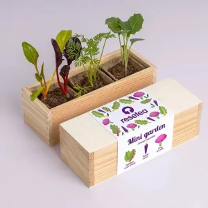 Promocja RESETEA zestaw do uprawy roślin Mini garden Strange vegetables 9,8 x 8,8 x 8,8 cmkolor multicolor